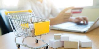 Indian domestic D2C market poised for growth with 3PL providers as key players