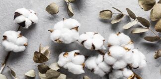 ICRA forecasts 85-90% surge in India's cotton yarn exports for FY2024