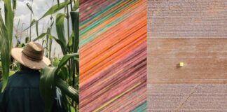 Sustainable strides: Textile Exchange’s impact on greener supply chains and eco-friendly materials