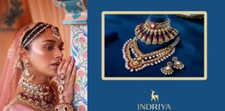 Aditya Birla's Indriya's big push on physical retail & local outreach