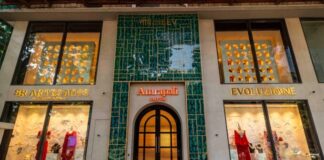 House of Amrapali Evoluzione SR Artefacts