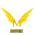 the-matrix-enterprises-logo-120×120