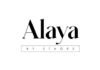 Alaya by Stage3 raises seed funding, eyes Rs 50 cr ARR in 2 years