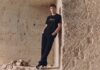 The Bear House goes beyond basics with ELEVATED collection The Bear House goes beyond basics with ELEVATED collection