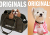 adidas Originals launches first pet lifestyle collection in India