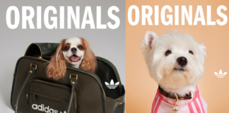 adidas Originals launches first pet lifestyle collection in India