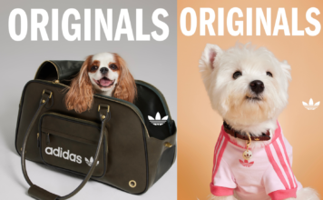 adidas Originals launches first pet lifestyle collection in India
